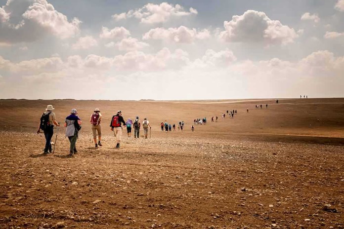 The final stage Just Walkers, snaking their way across the Negev Desert in Israel.