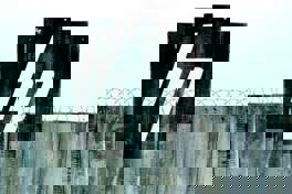 Hewlett Packard