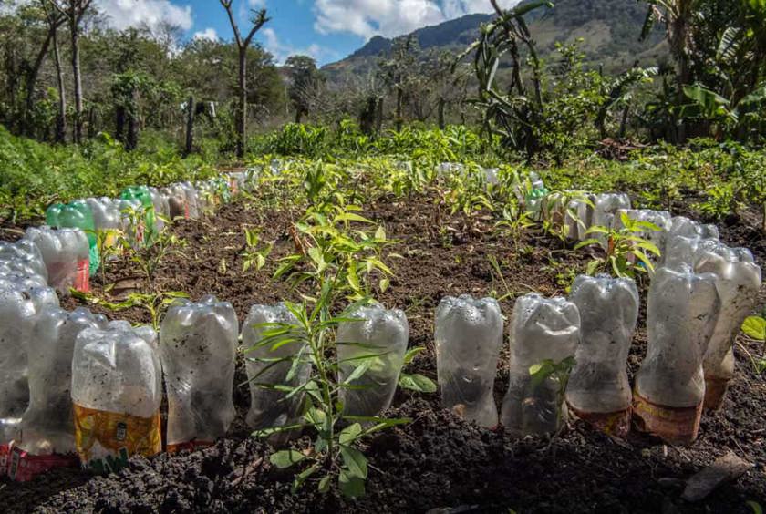 Nicaragua – provoking miracles