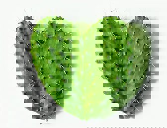 The art of cultural resistance