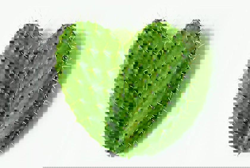 First of the Month | September 2022