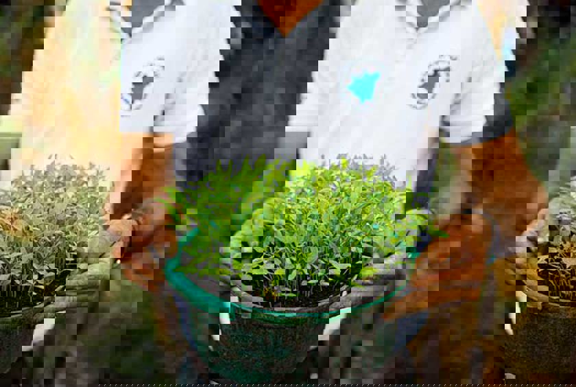 Amos on Spotify | Planet playlist