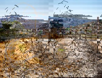 B’Tselem press release