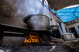 The Ongoing Food Crisis