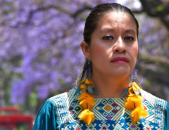 Events: Our Land, Our Future