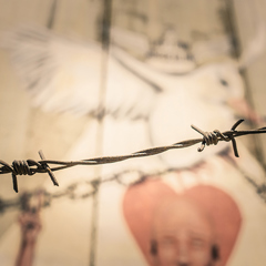 Amos Trust Blog An Unlawful Presence 1