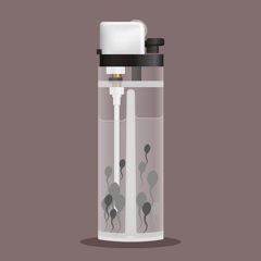 Amos Trust On Location 2023 Mariam Salah Sperm Lighter Sperm 2021