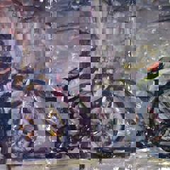 Amos Trust Ahlan Gaza On Location Ruqaia Alulu Cyclist