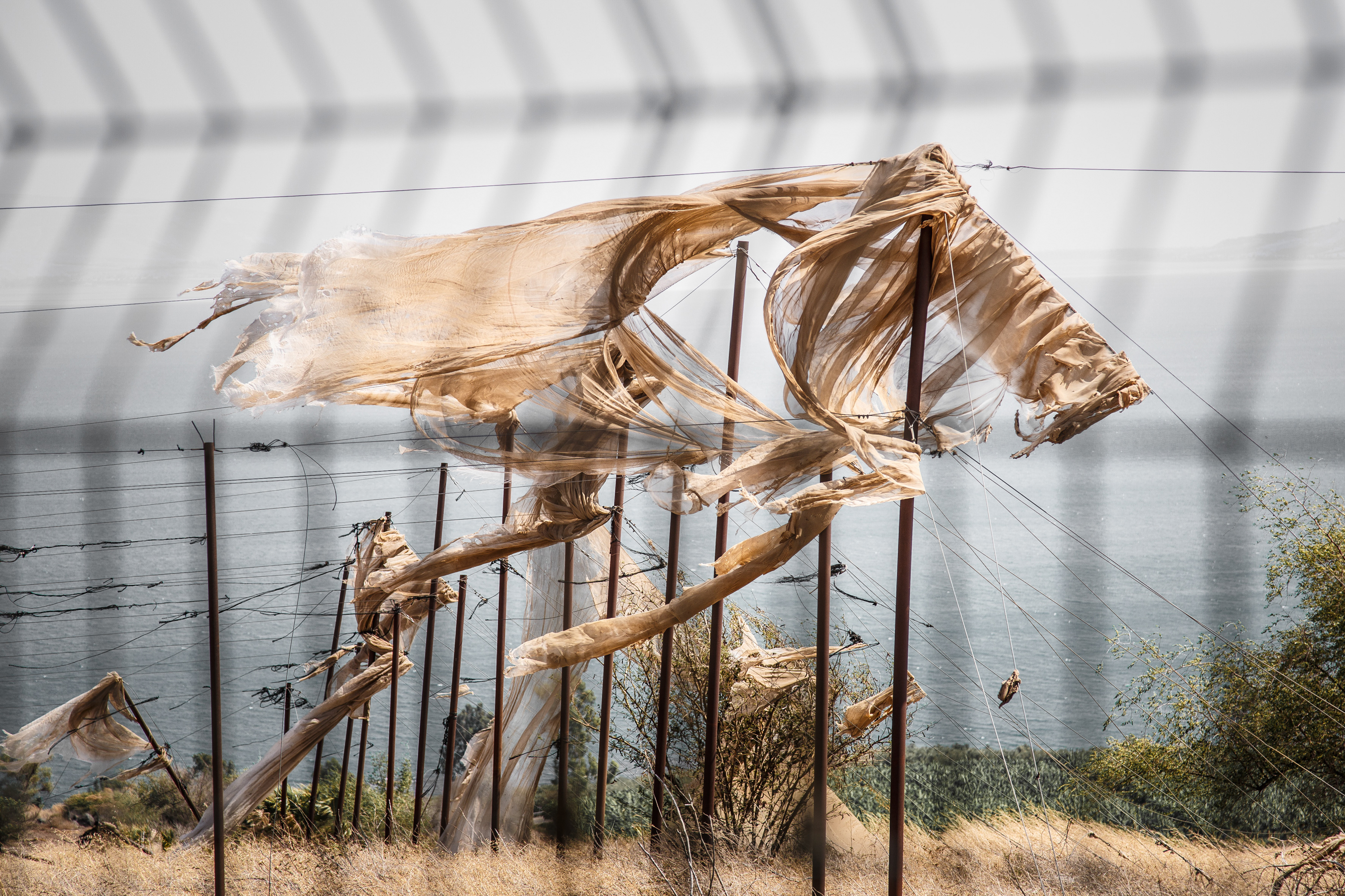 Amos Trust Palestine Justice Statements